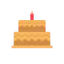 Birthday cake icon 64x64