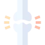Joint アイコン 64x64