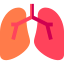 Lungs icon 64x64