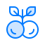 Cherry icon 64x64