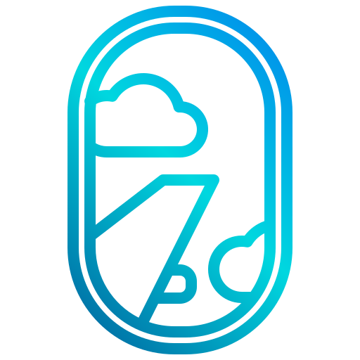 Window icon