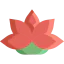 Blossom Symbol 64x64