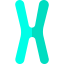 Chromosome string icon 64x64