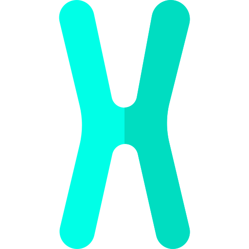Chromosome string icon