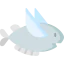 Flying fish biểu tượng 64x64