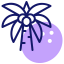 Palm trees icon 64x64