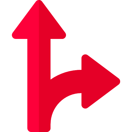 Double arrow icon