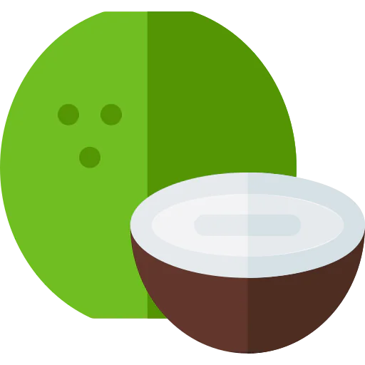 Coconut icon