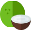 Coconut icon 64x64