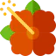Hibiscus icon 64x64
