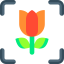 Macro icon 64x64