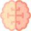 Brain icon 64x64