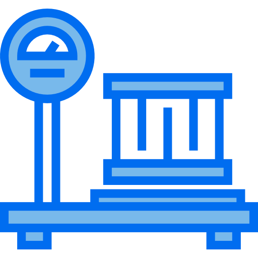 Scale icon