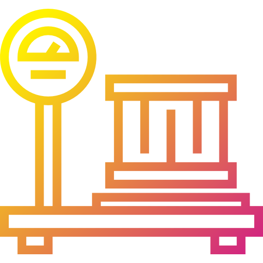 Scale icon