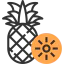 Pineapple icon 64x64
