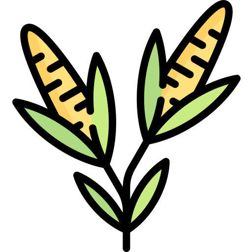 Corn icon