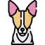 Fox terrier icon 64x64