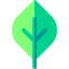 Leaf icon 64x64