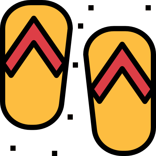 Flip flops icon