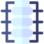 Spine ícono 64x64