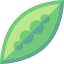 Green beans アイコン 64x64