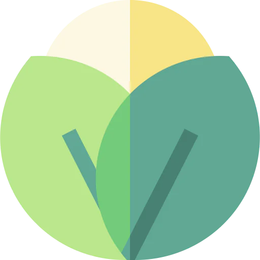 Cabbage icon