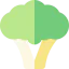 Broccoli icon 64x64