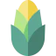 Corn icon 64x64