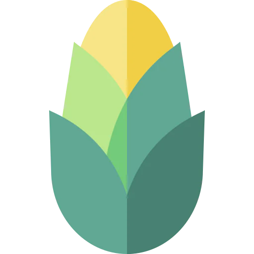 Corn icon