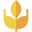 Wheat icon 64x64