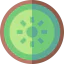 Kiwi icon 64x64