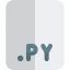 Формат Py иконка 64x64