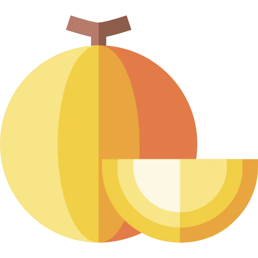 Melon icon