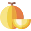 Дыня иконка 64x64