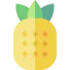 Pineapple icon 64x64