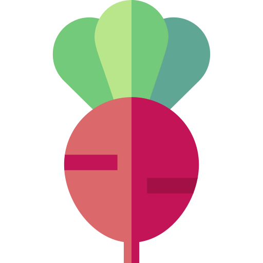 Radish icon