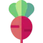 Radish icon 64x64