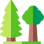 Forest icon 64x64