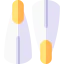 Flippers icon 64x64