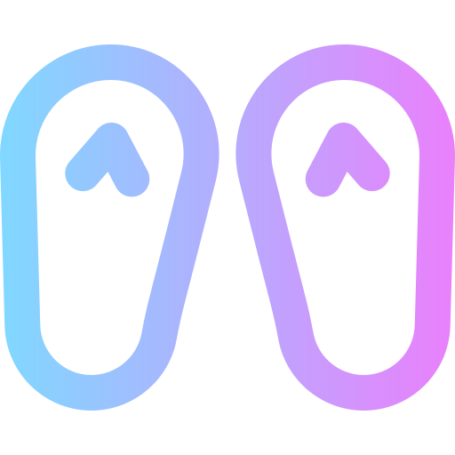 Flip flops icon
