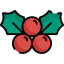 Mistletoe icon 64x64