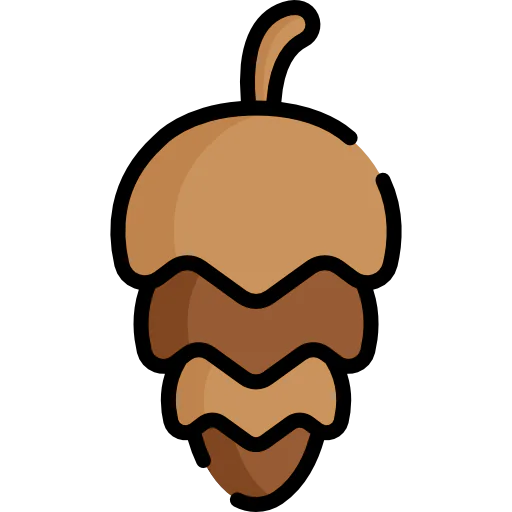 Nut icon