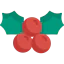 Mistletoe icon 64x64