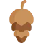 Nut icon 64x64