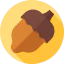Acorn icon 64x64