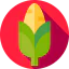 Corn icon 64x64