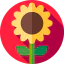 Sunflower icon 64x64