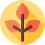 Leaf icon 64x64