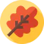 Leaf icon 64x64
