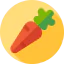 Carrot icon 64x64
